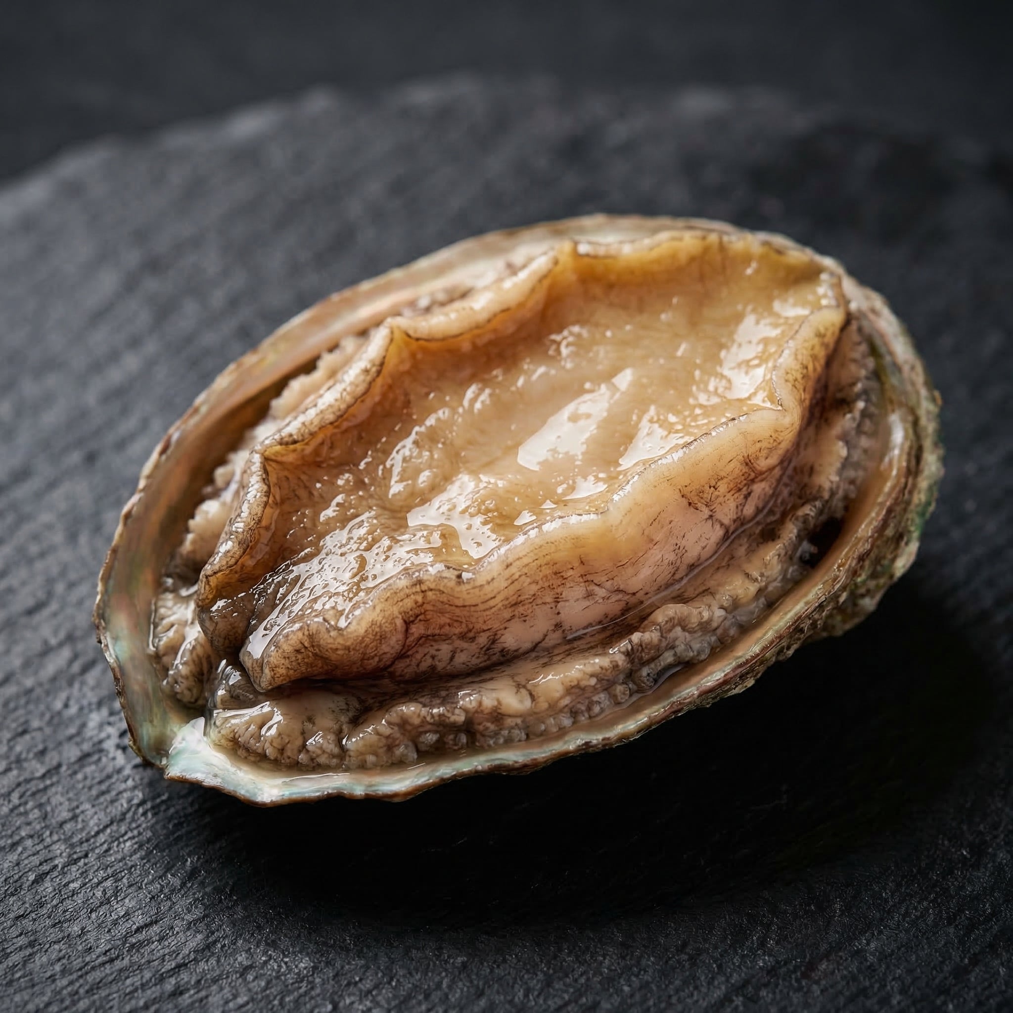 Premium Whole Abalone – Firm, Tender Texture