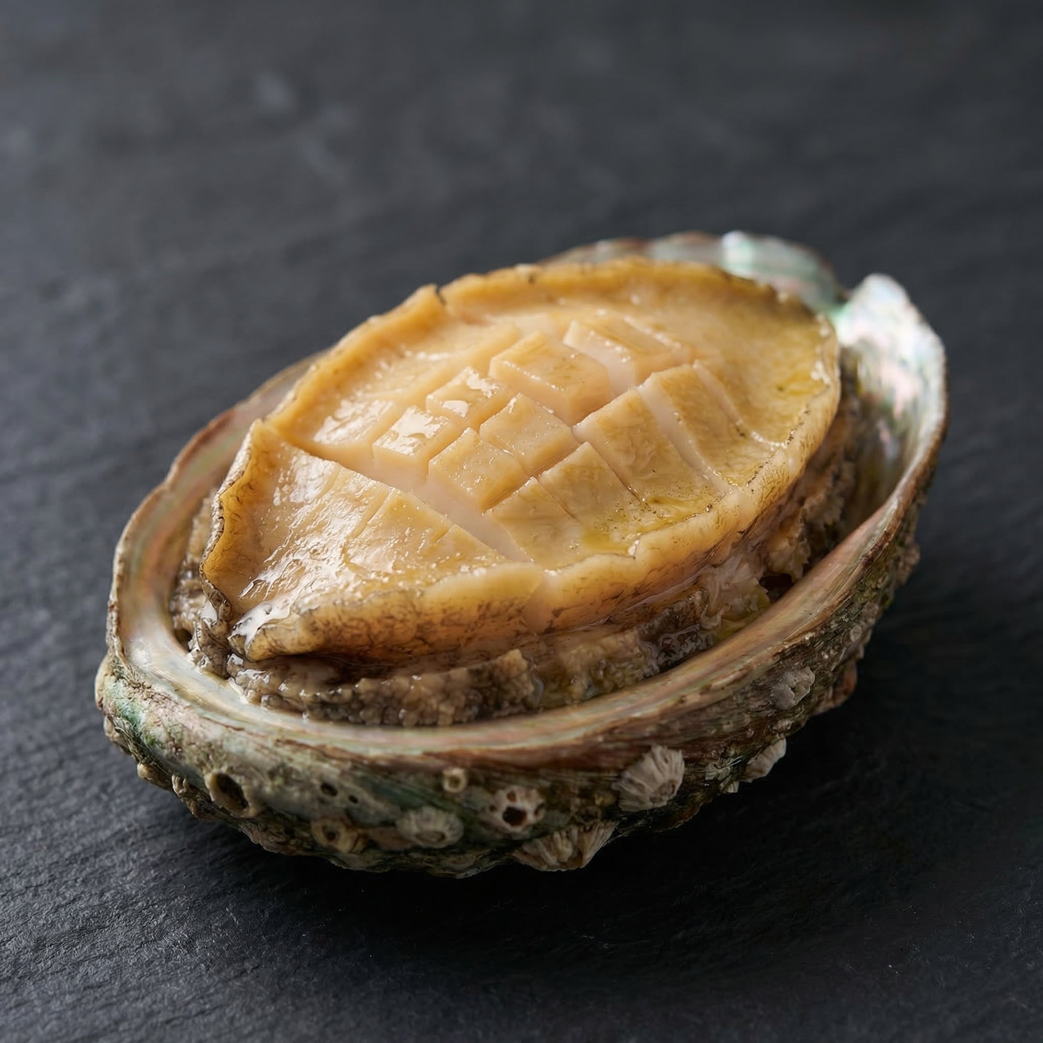 Premium Whole Abalone – Firm, Tender Texture